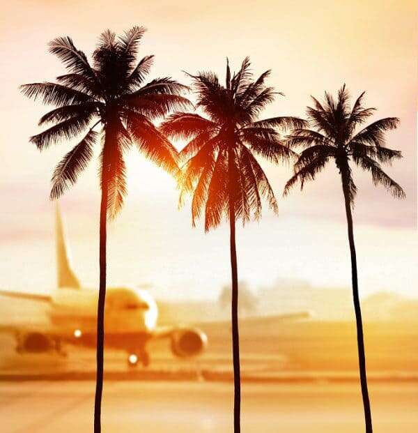 Palms-Airport-600x621-1